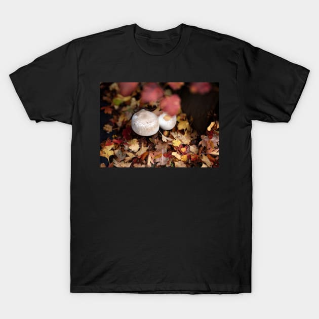 Autumns reward T-Shirt by Bevlyn